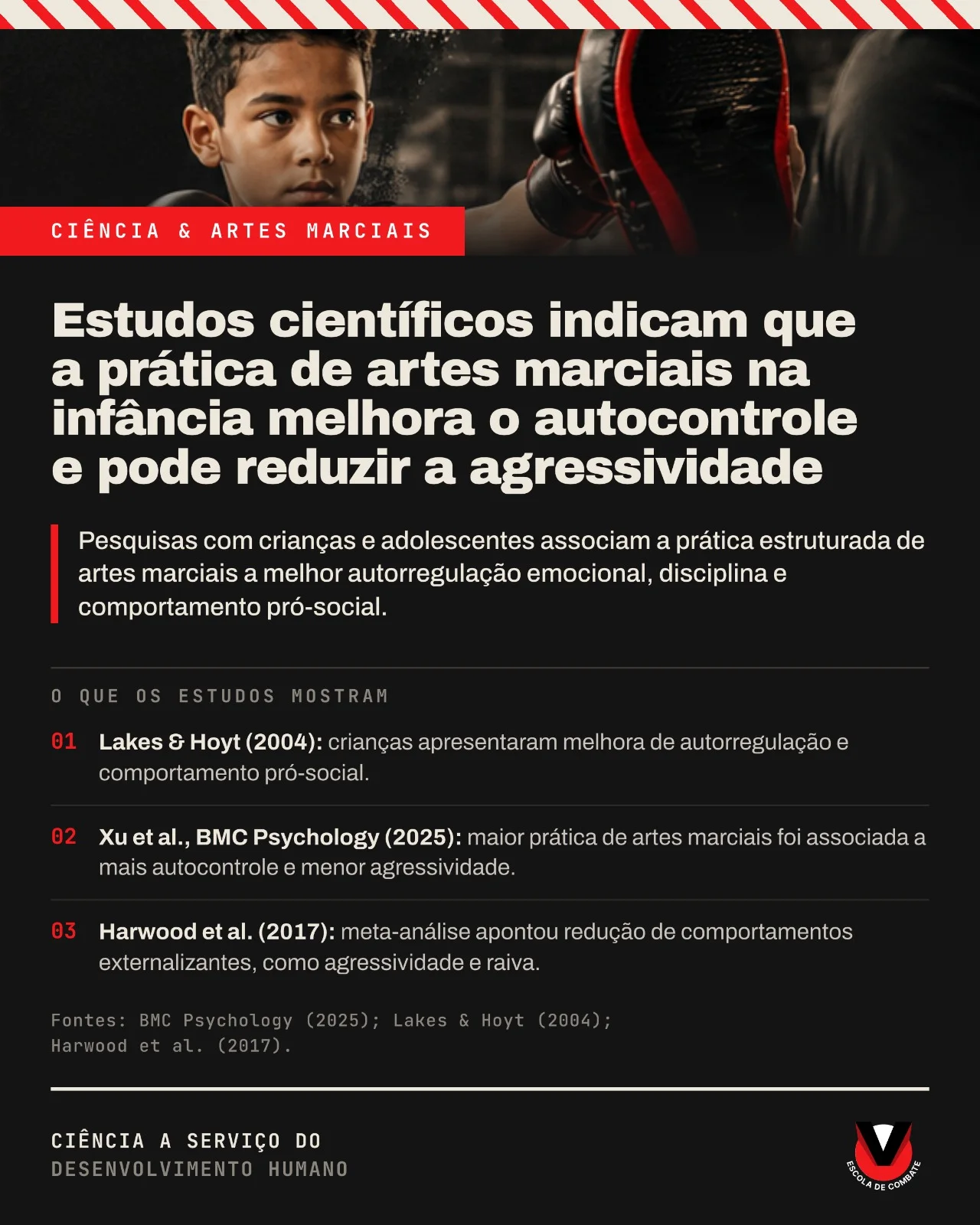 Arte editorial com criança em treino de artes marciais e resumo de estudos sobre autocontrole e agressividade